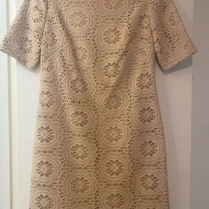 Eliza J Nude Crochet Shift Dress | Size 6P | Elegant & Chic